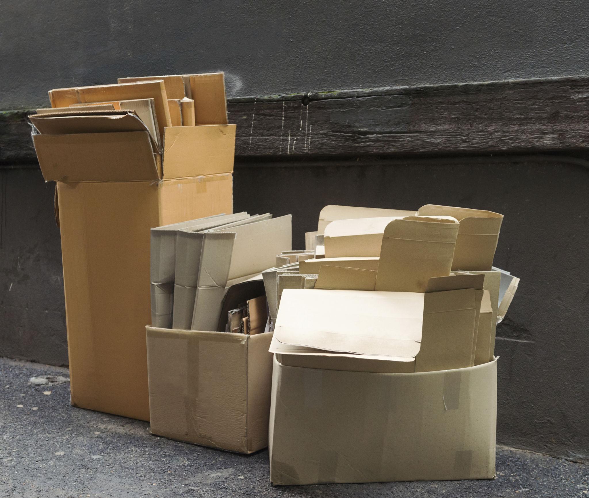 Cardboard Scrap